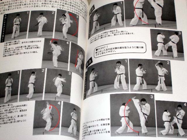 what is karate book by mas oyama