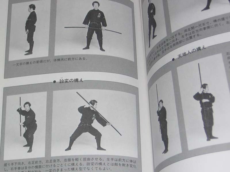 Hatsumi Japanese Bojutsu Bujinkan Stick Fight Sword m eBay